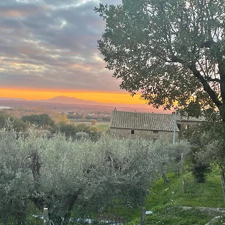 Private Stone With Starlink & View *