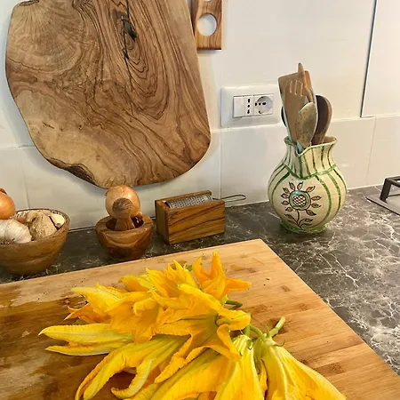 Private Stone With Starlink & View Tatil Evi