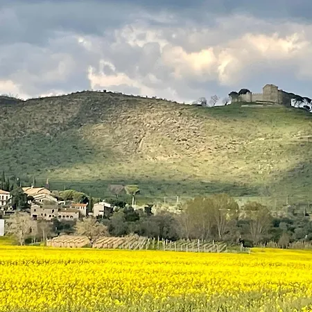 Private Stone With Starlink & View Сasa de vacaciones *