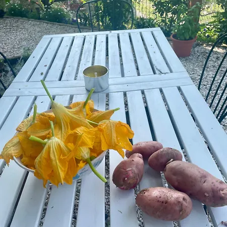 Private Stone With Starlink & View Tatil Evi