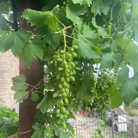 Tatil Evi Private Stone With Starlink & View Tuoro sul Trasimeno