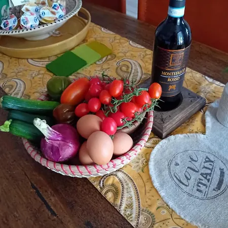 Private Stone With Starlink & View Сasa de vacaciones *