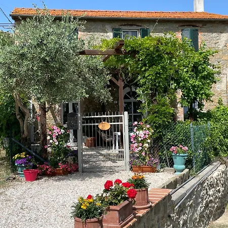 Private Stone With Starlink & View