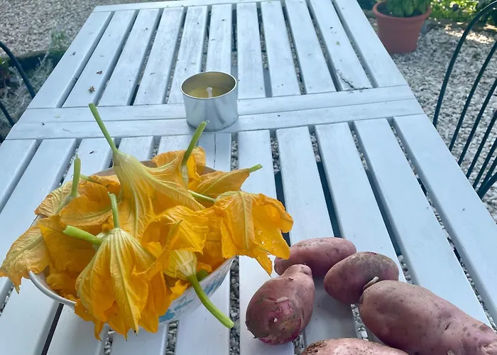 Private Stone With Starlink & View Ferienhaus