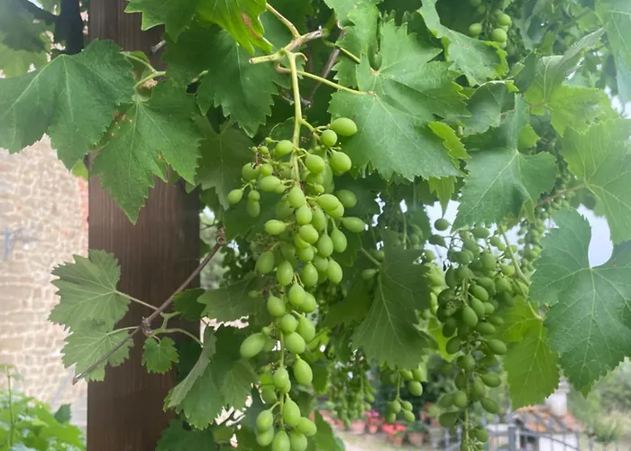 Ferienhaus Private Stone With Starlink & View Tuoro sul Trasimeno